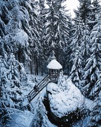 Snow covered trees on field during winter