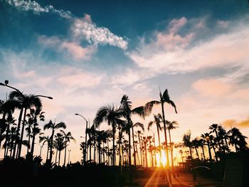 Silhouette palm trees against sky during sunset