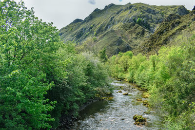 Landscape in cares trekking route, asturias