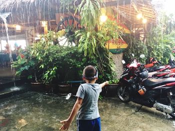 Rear view of a boy on a tree