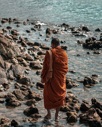 Rear view of man standing on rock