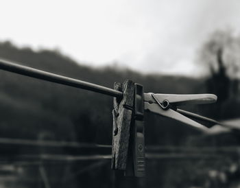 Close-up of clothespins on rope against fence