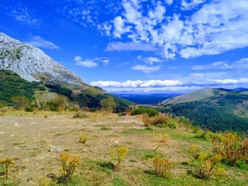 Scenic view of landscape against sky