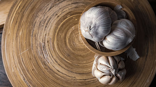 High angle view of shells