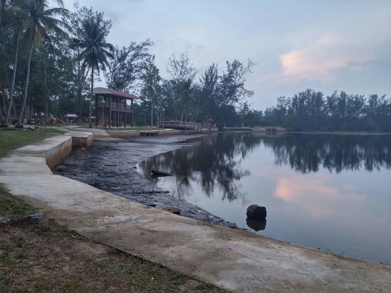 tree, water, sky, lake, tranquility, reflection, tranquil scene, nature, scenics, river, beauty in nature, cloud - sky, lakeshore, riverbank, outdoors, cloud, day, growth, pond, calm