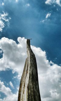 Low angle view of bird perching on tree against sky