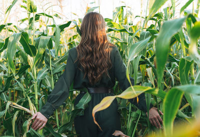 Young beautiful long hair woman in sunglasses in sunset corn field. sensitivity to nature concept