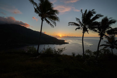 Silhouette palm trees on beach against sky during sunset