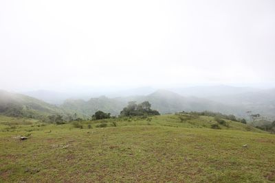 Scenic view of grassy field against sky