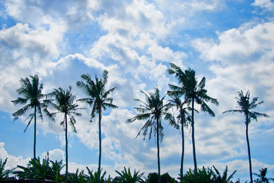 Low angle view of palm trees against sky