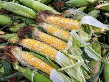 High angle view of vegetables for sale at market stall
