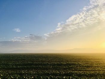 Scenic view of field against sky during sunset