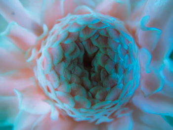 Full frame shot of blue candies