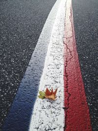 High angle view of autumn leaves on dutch flag road