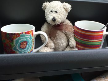 Close-up of dog with coffee cup