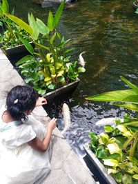 High angle view of woman standing by lake