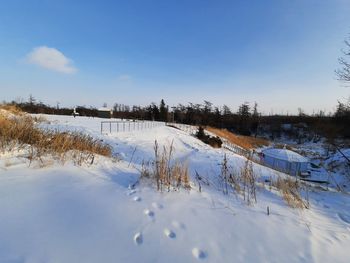 Scenic view of snow covered field against sky