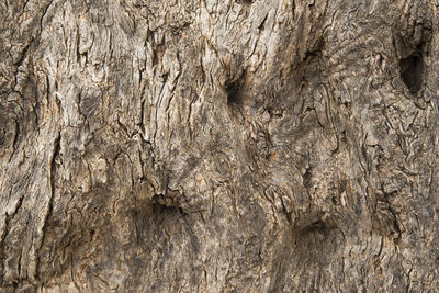 Full frame shot of rock