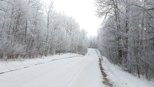 Snow covered road amidst trees against sky