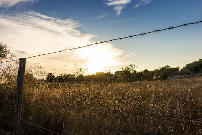 Scenic view of field against sky during sunset