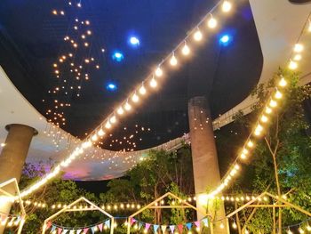 Low angle view of illuminated ferris wheel at night
