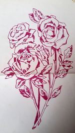 Close-up of red flowers against white background