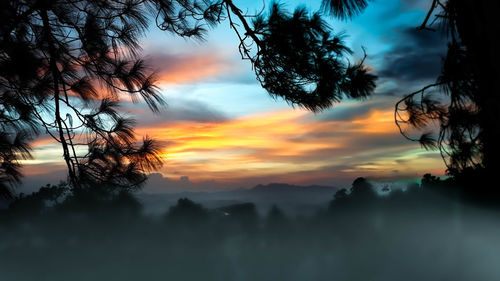 Silhouette trees against dramatic sky during sunset