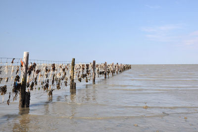 Wooden posts on beach against sky