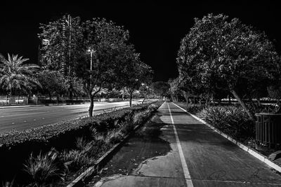 Illuminated trees by road against sky at night