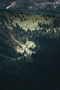 High angle view of trees on landscape