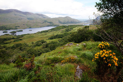 Scenic view of landscape from ireland