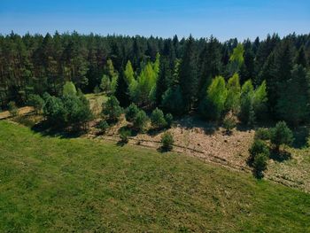 Scenic view of trees on field against sky