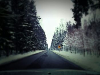 Road passing through forest