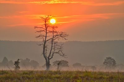 Scenic view of field against sky during sunset