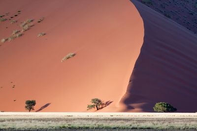 Idyllic shot of sand dune in desert