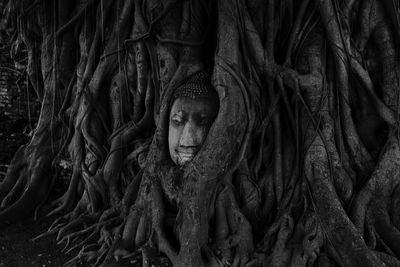 Close-up of statue of tree trunk