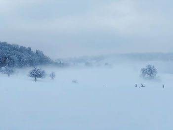 Snow covered land against sky