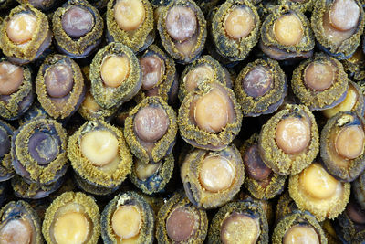 Full frame shot of abalones for sale at market stall