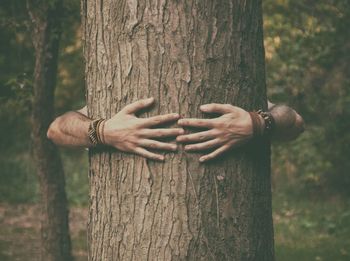 Hand of tree trunk
