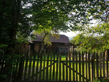 Fence by trees against building