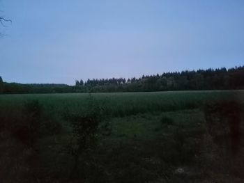 Scenic view of field against clear sky