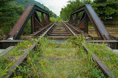 Abandoned railroad track amidst trees