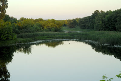 Scenic view of lake in forest against clear sky