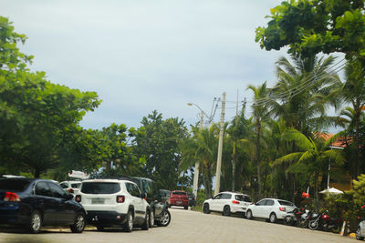 Cars on palm trees against sky