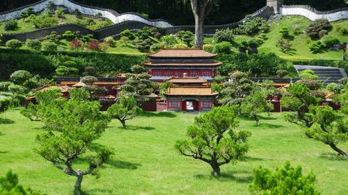 Trees in a garden