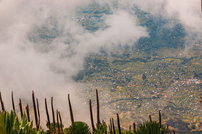 African landscapes in rwanda seen from mount muhabura in the mgahinga gorilla national park, uganda