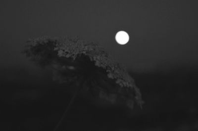 Scenic view of moon at night