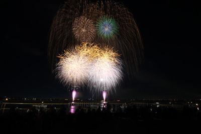 Firework display at night