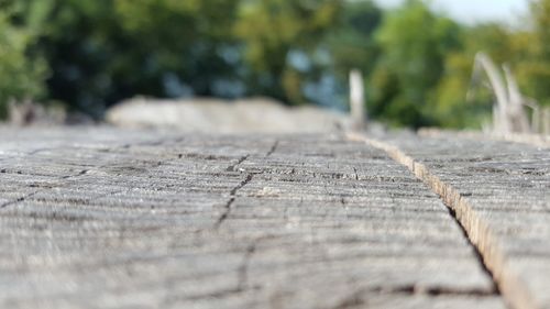 Close-up of wooden surface