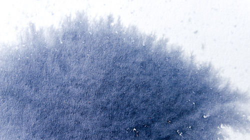 snow